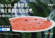娱乐吃瓜文案哪里来的,揭秘娱乐吃瓜文案的诞生之谜