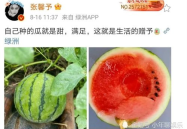 娱乐圈最近有什么瓜可以吃,明星秘闻大揭秘！