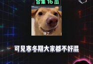 娱乐八卦劲爆吃瓜,劲爆吃瓜事件大曝光!