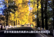 娱乐吃瓜君9,揭秘娱乐圈最新热点事件